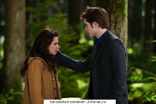 twilight din new moon