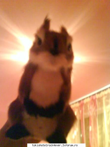 tuh esti rivala meaaa!!!  :limba: (yo glumesc tare!  :nebun:  :nebun: 




sa stii k e cel mai...cel