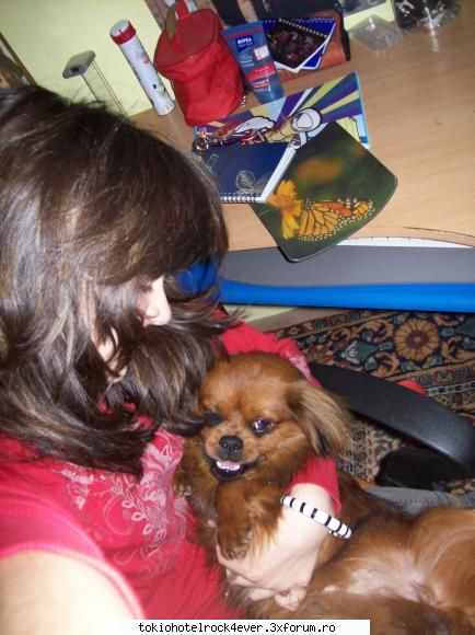 Animalutzele noastre ;;) - eu..am avut acvariu..cu pesi..dar a murit erau - *..::Cafenea::..*