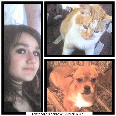 Animalutzele noastre ;;) - dar si o poza cu Leo al meu adolat si Niky - *..::Cafenea::..*