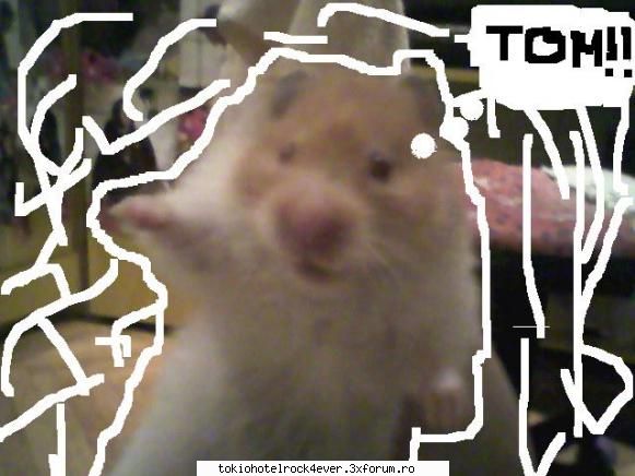 Animalutzele noastre ;;) - am si eu o hamsteritza :D si fana Tom...chiar - *..::Cafenea::..*