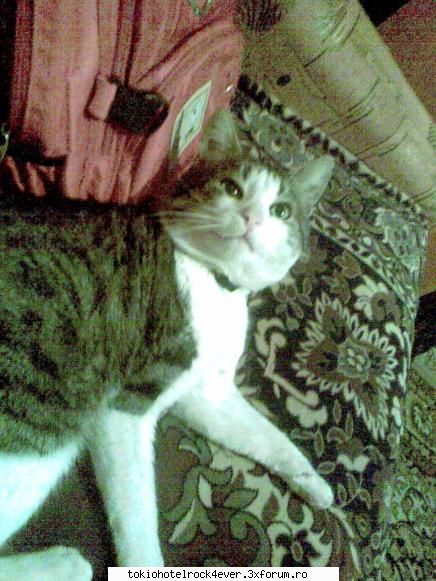 Animalutzele noastre ;;) - bah... daca tot va laudatsi cu animalutsele - *..::Cafenea::..*