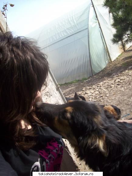 Animalutzele noastre ;;) - aici estem la zo la ferma - *..::Cafenea::..*