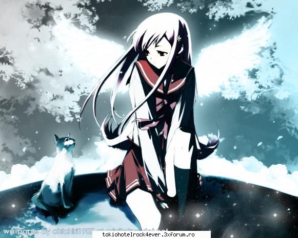 Anime - *KiKi* - *..::Archive::..*