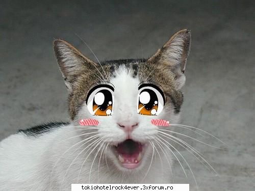 Anime PICTURES - AdeLul - *..::Anime::..*