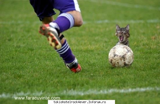 .::Bancuri/Culmi/Proverbe haioase::. - hehehe am si eu una! - *..::Stuff 4 Fun::..*