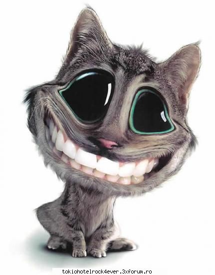 .::Bancuri/Culmi/Proverbe haioase::. - *♥Porcelein_Doll♥* - *..::Stuff 4 Fun::..*