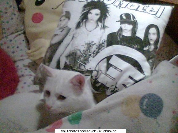 Catty......me :P - matzul meu fan Th - *..::Me, myself & I::..*