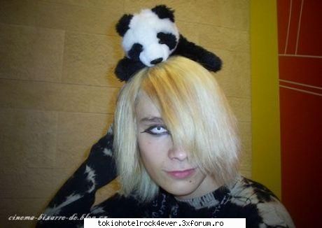 Cinema Bizarre - Zo Cel Merri - *..::Other Bands::..*