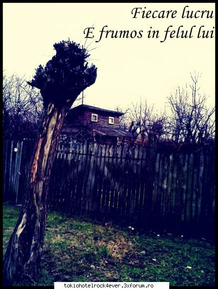 >Just me<AnTO> - Poi..sunt facute de mine.. Eu am fotografiat - *..::Me, myself & I::..*