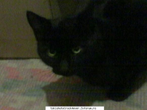 My name is Kagome - Kagome - *..::Me, myself & I::..*