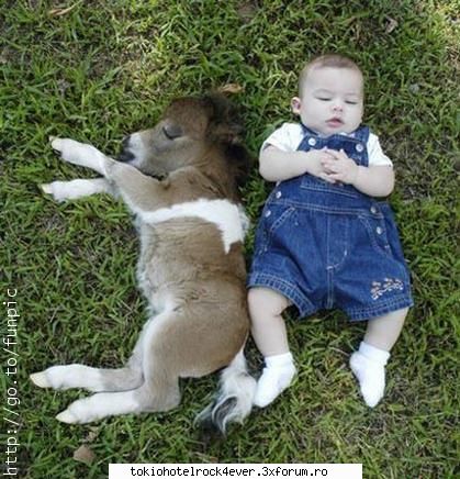 Note pentru poza - aaa am uitat sa pun poza srry - *..::Games::..*