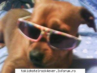 Note pentru poza - 10 imi pl floarea k e rozzzzzz dar si tlufurele - *..::Games::..*