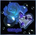 Note pentru poza - miha - *..::Games::..*