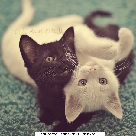 Note pentru poza - aa...cat de sweet is...10 - *..::Games::..*