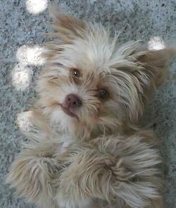 Note pentru poza - 1o-e mult prea cute - *..::Games::..*