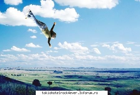 Photoshop - Eu nu imi pot downloada photoshopul, nu ma lasa - *..::Cafenea::..*