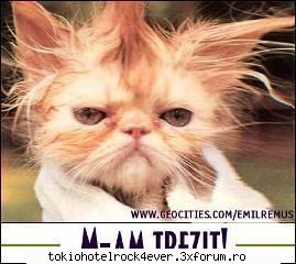 PozE HaioasE - m.ela - *..::Stuff 4 Fun::..*