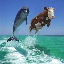 PozE HaioasE - m.ela - *..::Stuff 4 Fun::..*