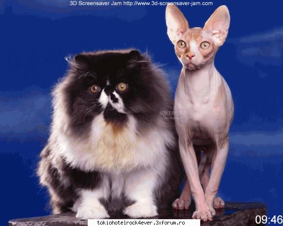 PozE HaioasE - Tatyann' - *..::Stuff 4 Fun::..*
