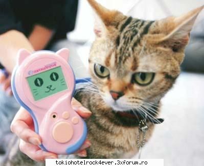 PozE HaioasE - poza cu tastatura e fenomen dar atzi vazut ka re - *..::Stuff 4 Fun::..*