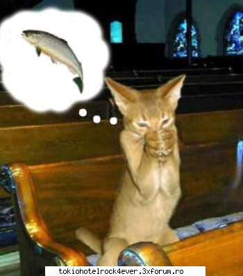 PozE HaioasE - miha - *..::Stuff 4 Fun::..*