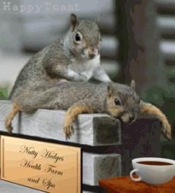 PozE HaioasE - Chocholate12 - *..::Stuff 4 Fun::..*