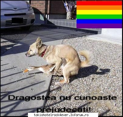 PozE HaioasE - iubirea nu are limite - *..::Stuff 4 Fun::..*