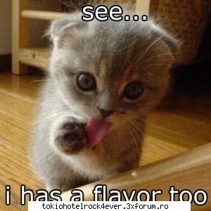 PozE HaioasE - are si el gust! - *..::Stuff 4 Fun::..*