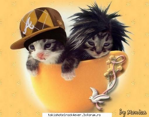 PozE HaioasE - poza asta li se potriveste - *..::Stuff 4 Fun::..*
