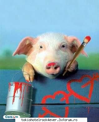 PozE HaioasE - e simpatic piggy asta si ff romantic - *..::Stuff 4 Fun::..*