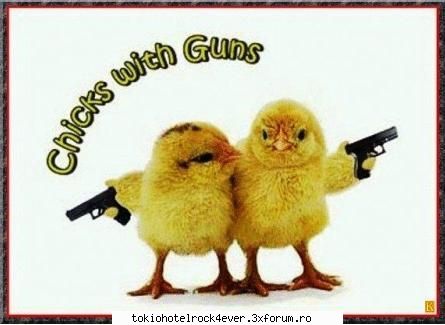 PozE HaioasE - ♥lOllipOp♪� - *..::Stuff 4 Fun::..*