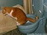 PozE HaioasE - Extasy - *..::Stuff 4 Fun::..*