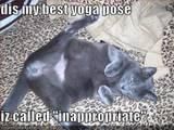 PozE HaioasE - Extasy - *..::Stuff 4 Fun::..*