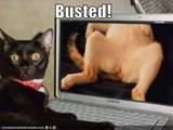 PozE HaioasE - Extasy - *..::Stuff 4 Fun::..*