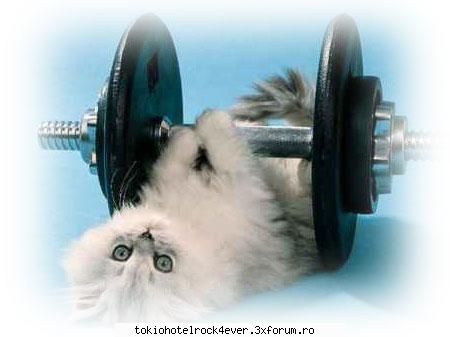 PozE HaioasE - hai k mai pun yo ceva poze - *..::Stuff 4 Fun::..*