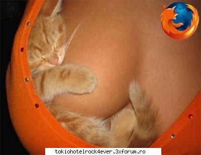 PozE HaioasE - firefox imitation...in cazu` d fatza fire-cat! - *..::Stuff 4 Fun::..*
