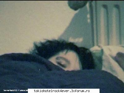 Poze cu Bill - nani,nani puisor! e sweet cand doarme... nu e asa - *..::Gallery::..*