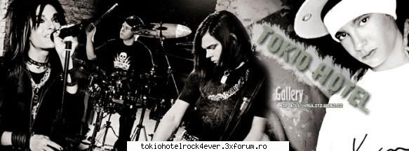 Poze..de toate - gυѕтαν ♥ мυѕι� єℓє�тяσ - *..::Gallery::..*