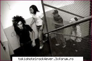 Poze..de toate - gυѕтαν ♥ мυѕι� єℓє�тяσ - *..::Gallery::..*