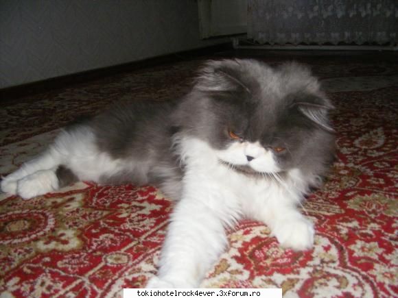 Tatyana !!! - Tatyann' - *..::Me, myself & I::..*
