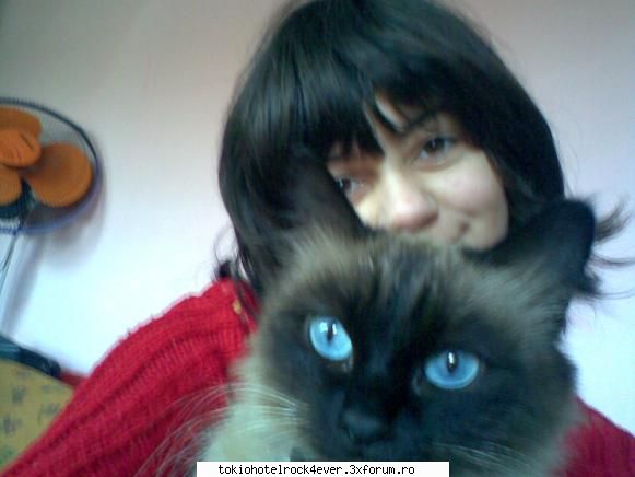 Zo cei Merri - Zo Cel Merri - *..::Me, myself & I::..*