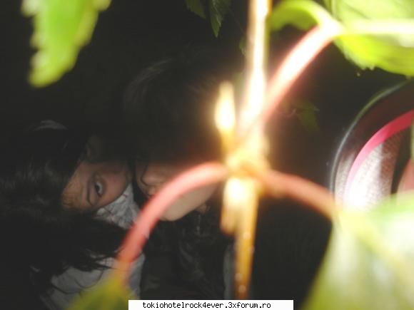Zo cei Merri - este foarte nefotogenic in acest period - *..::Me, myself & I::..*
