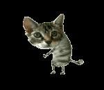 Zo cei Merri - eu zic aici la mullti 2000 cu cat vrea ea in - *..::Me, myself & I::..*