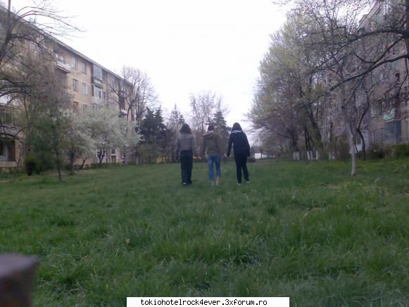 adelinutza - aici sunt cei 3 purcelusi - *..::Me, myself & I::..*