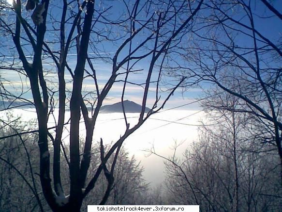 fotografii,poze&co. - si acest este facut de mine.+ k am mai pus la - *..::Cafenea::..*