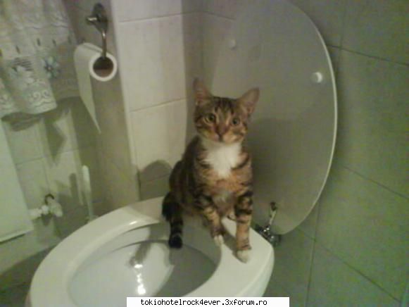 me... - l-am prins in actziune [ defapt nu facea - *..::Me, myself & I::..*