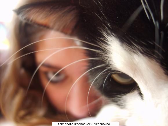 me...adik corinutza :) - mysterious_black_kitty - *..::Me, myself & I::..*