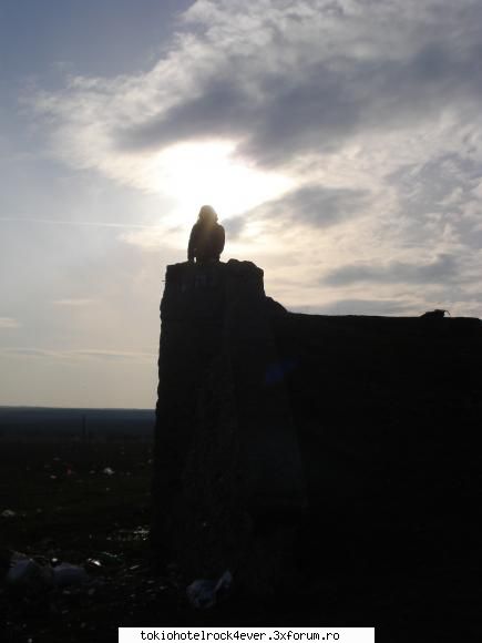 me...adik corinutza :) - mysterious_black_kitty - *..::Me, myself & I::..*