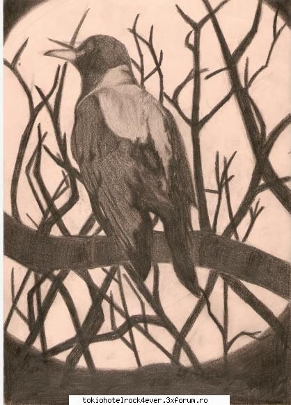 my creations...:) - mysterious_black_kitty - *..::Drawing Art::..*